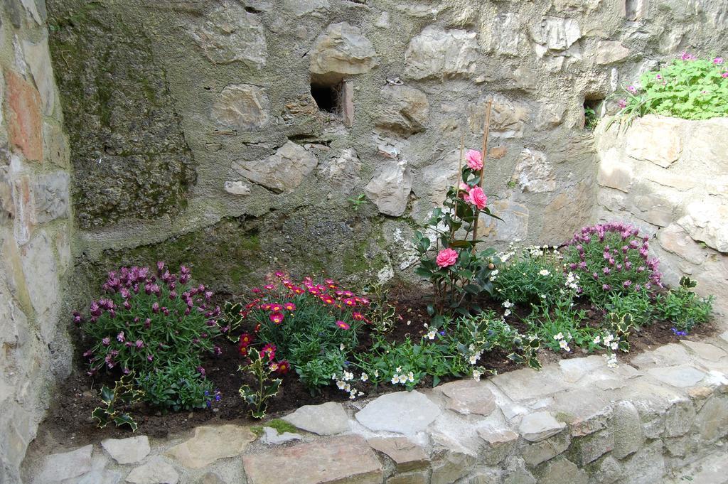Emily House Ξενοδοχείο Montecerboli Εξωτερικό φωτογραφία